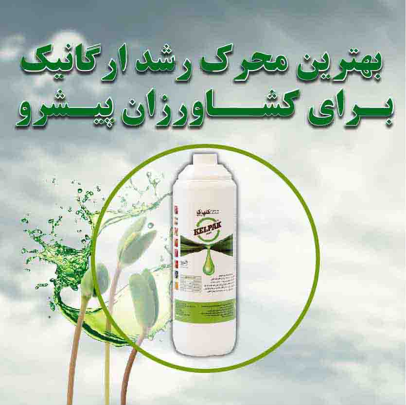 Kelpak seaweed extract